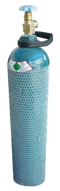 PORTABLE GAS CYLINDER